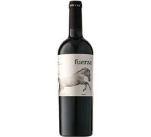 Вино Ego Bodegas Fuerza красное сухое 0.75 л 14.5% (8437013527033)