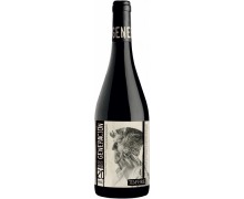 Red dry wine Tempore Generacion 20
