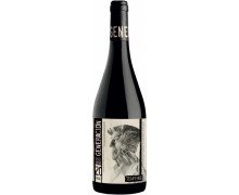 Red dry wine Tempore Generacion 20
