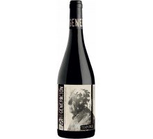 Вино красное сухое органическое Tempore Generacion 46 0,75л