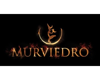Новинка! Вино MURVIEDRO - Гордість Іспанії!